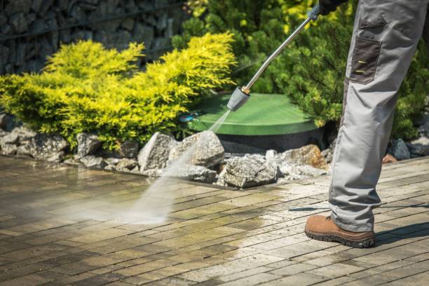 Best Roof Cleaning and Mildew Removal in Gerber, CA